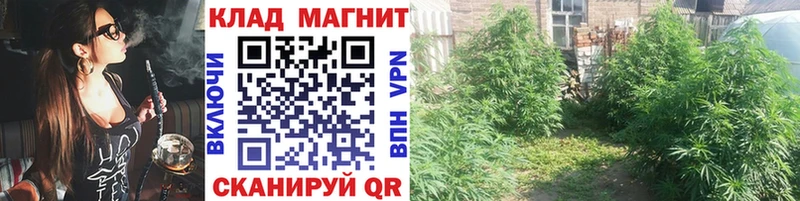 Где купить Отрадная Кокаин МЕФ Канабис